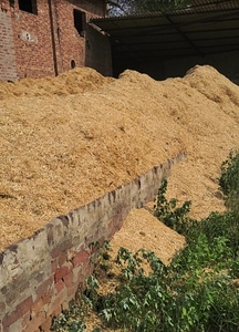 ടോറി