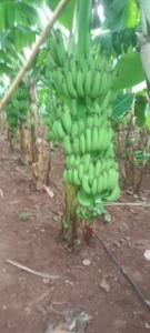 ఫోటో 2