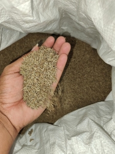 ജീര