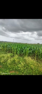 ಫೋಟೋ 2