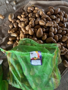 ഫോട്ടോ 2