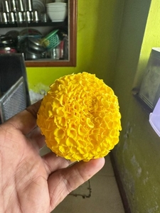 ജമന്തി