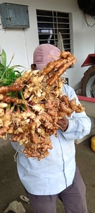 ഫോട്ടോ 2