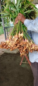 ഫോട്ടോ 3