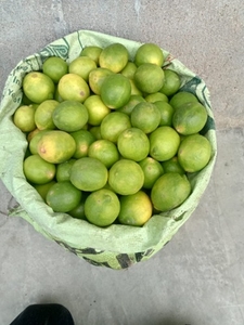 നാരങ്ങ