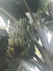 ഫോട്ടോ 2