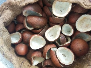 കൊപ്ര