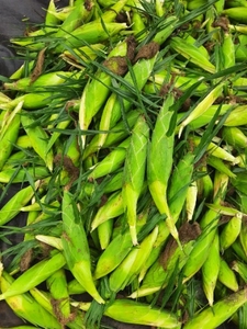ఫోటో 2