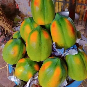 പപ്പായ