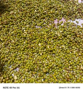 മൂങ്