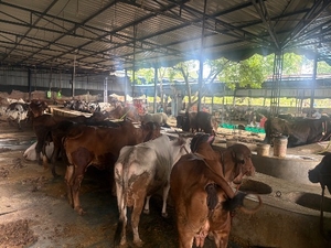 ഫോട്ടോ 2