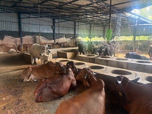 ഫോട്ടോ 3