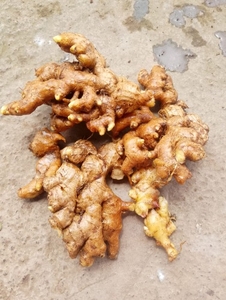 ఫోటో 3