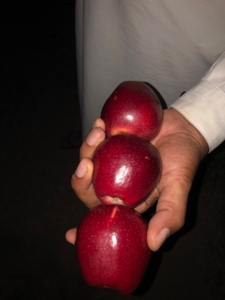 ಫೋಟೋ 3