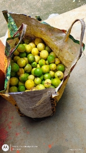ನಿಂಬೆಹಣ್ಣು