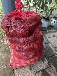 ತೆಂಗಿನಕಾಯಿ ಚಿಪ್ಪು