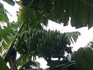 ಫೋಟೋ 2