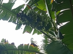 ಫೋಟೋ 3