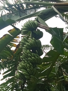 ಫೋಟೋ 4