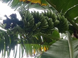 ಫೋಟೋ 5