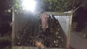 മുള