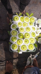 ഫോട്ടോ 2
