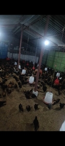 படம் 2