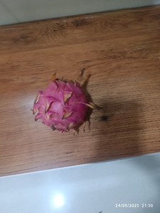 ड्रैगन फल