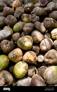 നാളികേരം