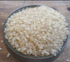 ಭತ್ತ