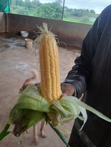 ഫോട്ടോ 2