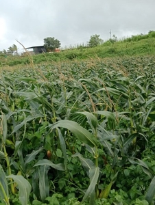 ഫോട്ടോ 3