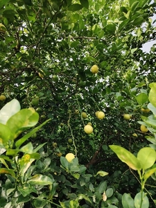 ಫೋಟೋ 2