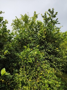 ಫೋಟೋ 3