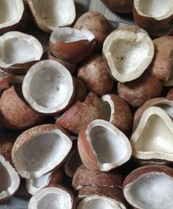 കൊപ്ര