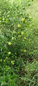 ഫോട്ടോ 2
