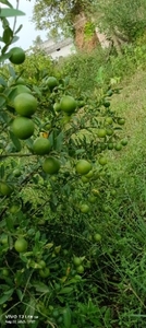 ഫോട്ടോ 3