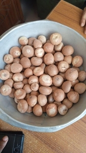 ఫోటో 4