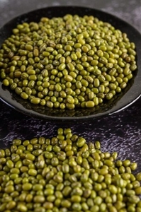 Moong