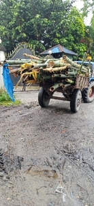 ഫോട്ടോ 3