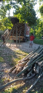 ഫോട്ടോ 4