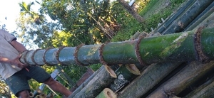 ഫോട്ടോ 5