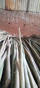 മുള