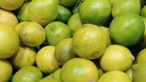 எலுமிச்சை