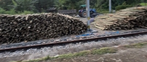 ഫോട്ടോ 2