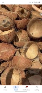 ತೆಂಗಿನಕಾಯಿ ಚಿಪ್ಪು