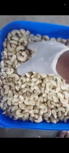 കശുവണ്ടി