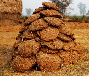 ചാണക കേക്ക്