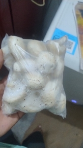 മാസ്‌റൂം