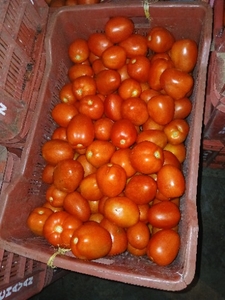 ഫോട്ടോ 2